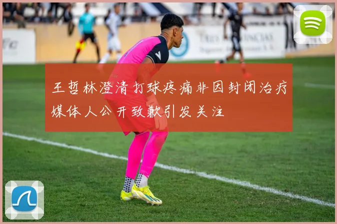 王哲林澄清打球疼痛非因封闭治疗媒体人公开致歉引发关注