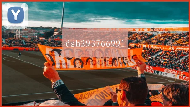 dsh293766991